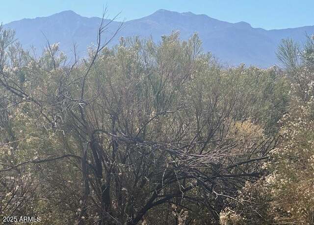 Property at TBD E Hwy 90 -- #1, Sierra Vista, AZ 85635