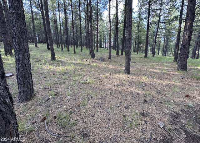 Property at 212 Mule Springs Trl #24, Forest Lakes, AZ 85931