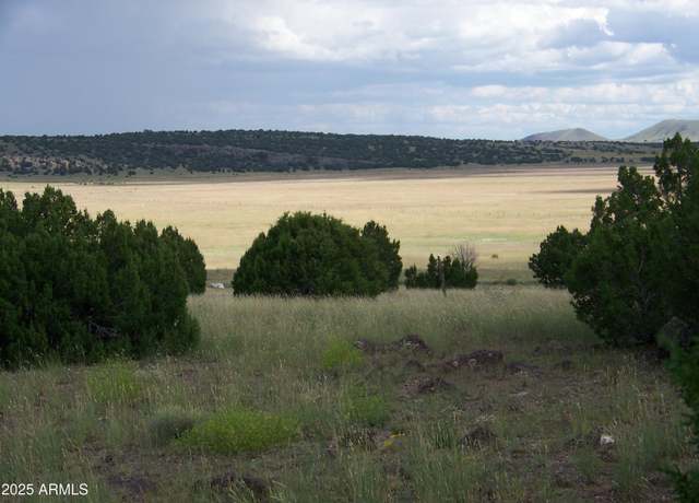 Property at Lot 253 N8640 -- #253, Concho, AZ 85924