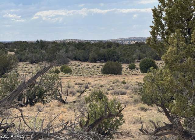 Property at Lot 1096 Woodland Valley Ranch -- #1096, St Johns, AZ 85936
