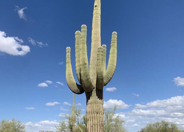 Property at 0 W Hohokam & Roca St Unit -, Florence, AZ 85132