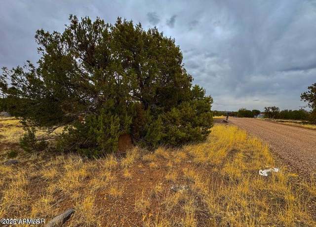 Property at 8512 Canyon Dr Unit -, Show Low, AZ 85901