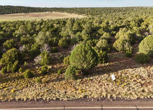 Property at 35555 US Highway 60 -- #003, Show Low, AZ 85901