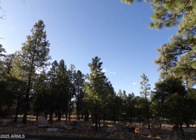 Property at 6938 Mogollon Trl #83, Happy Jack, AZ 86024