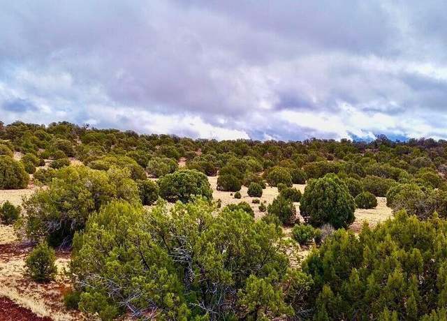 Property at TBD Co Rd 8256 Lot C 10 Acres -- Unit -, Concho, AZ 85924