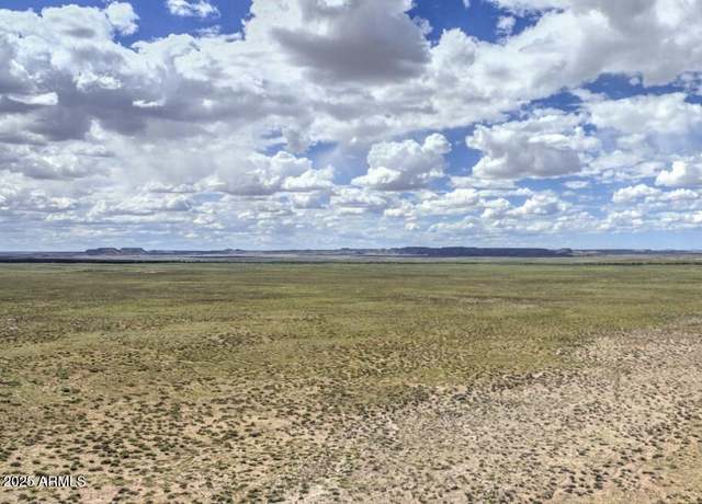 Property at tbd 211-25-116 Petrified Forest Ests #116, Adamana, AZ 85634