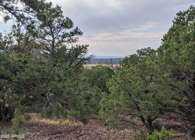 Property at lot 76 Dolly Dr #76, Vernon, AZ 85940
