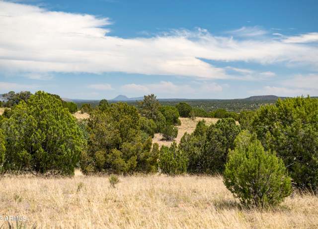 Property at 000-C Wooden Ear Ranch Rd #50, Seligman, AZ 86337