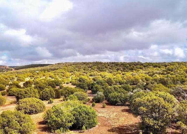 Property at TBD Co Rd 8256 Lot D 10 Acres -- Unit -, Concho, AZ 85924