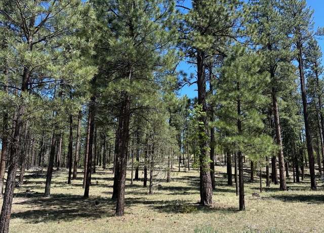 Property at 2184 N Highway 180 Xrds Unit 101-46-020N, Alpine, AZ 85920