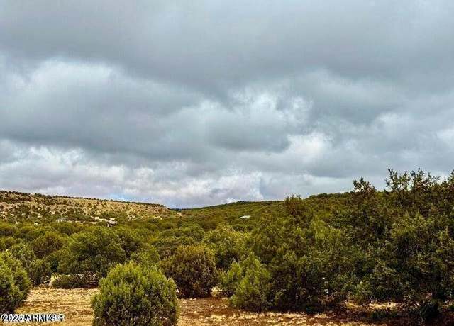 Property at TBD Co Rd 8256 Lot E 10 Acres -- Unit -, Concho, AZ 85924