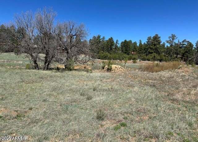 Property at 1301 S Lakeside Trl #33, Show Low, AZ 85901
