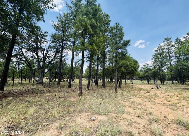 Property at 3236 Durango Dr #6, Happy Jack, AZ 86024