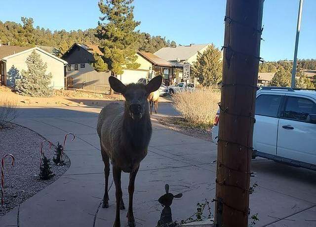 Property at 715 W Sherwood Dr, Payson, AZ 85541, 3 beds, 2 baths