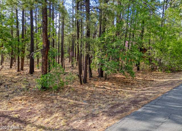 Property at 7202 Tall Pine Dr #74, Pinetop, AZ 85935
