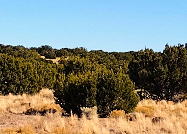 Property at Lot 261 Elk Valley Ranch -- #261, St Johns, AZ 85936