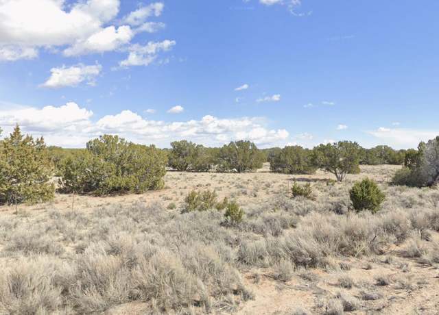 Property at 0 N7298 -- #113, St Johns, AZ 85936