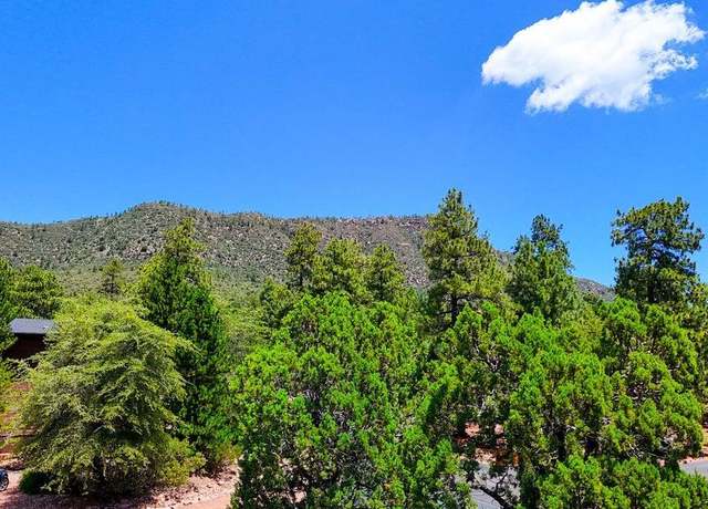 Property at 0 Drumecho Lot 12 -- #12, Pine, AZ 85544