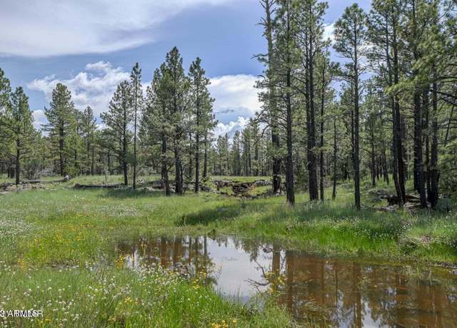 Property at 026/027 Birdsong Way Unit -, Lakeside, AZ 85929