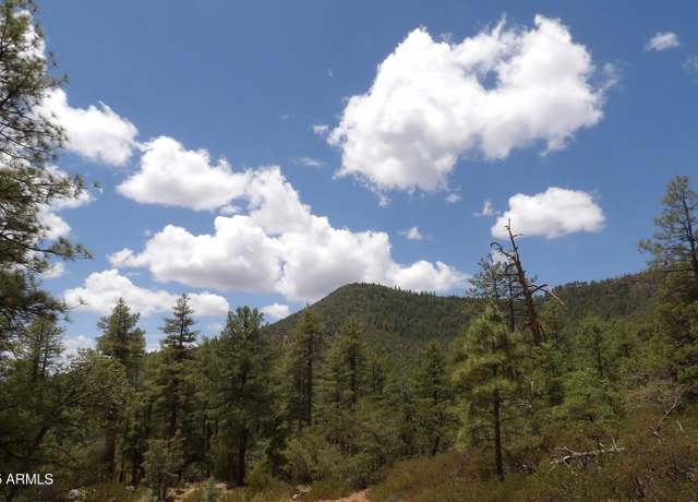 Property at 014U &018E Pine Hollow Trl Unit 014U & 018E, Pine, AZ 85544