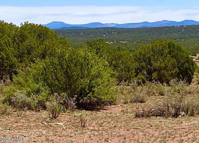 Property at 9780 Texas Lane 39.89 Acres -- Unit -, Show Low, AZ 85901