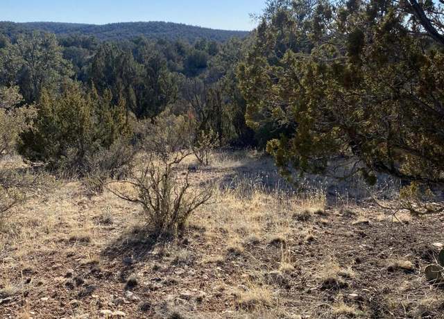 Property at 51824 N Cordero Rd #3384, Seligman, AZ 86337