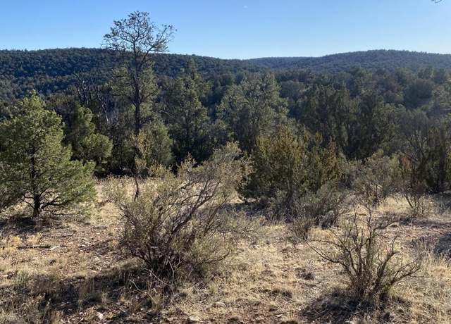 Property at 51874 N Cordero Rd #3382, Seligman, AZ 86337