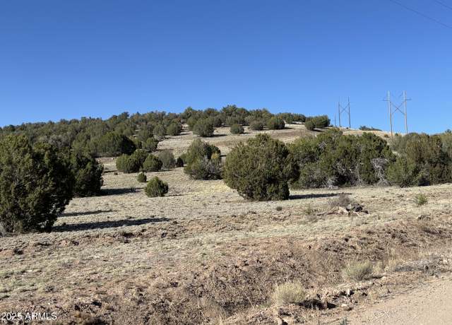 Property at 0 N Parcel #301-10-230-1557 -- #1557, Seligman, AZ 86337
