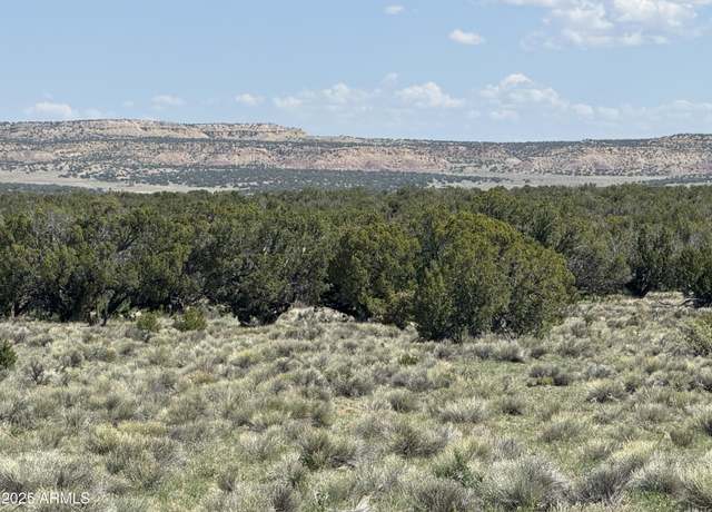 Property at Lot 1114 Woodland Valley Ranch -- #1114, St Johns, AZ 85936