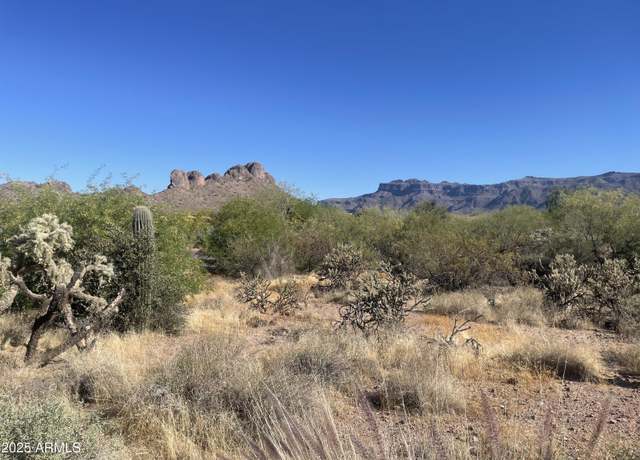 Property at 6083 S Alameda Rd #168, Gold Canyon, AZ 85118