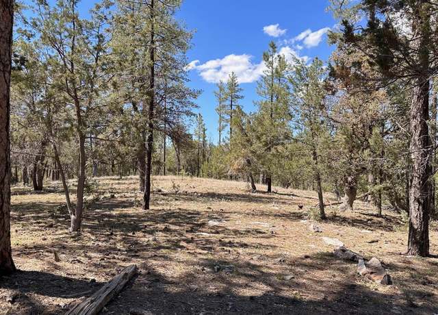 Property at Lot 44 S Diamond Pt #44, Payson, AZ 85541