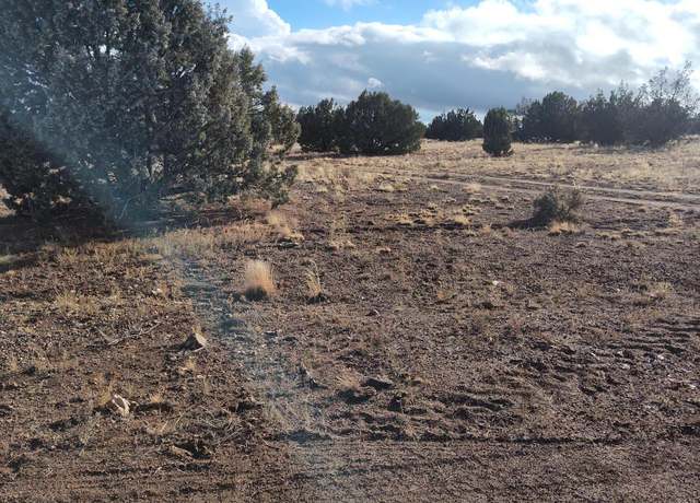 Property at 00000 N Deliverace -- #453, Seligman, AZ 86337