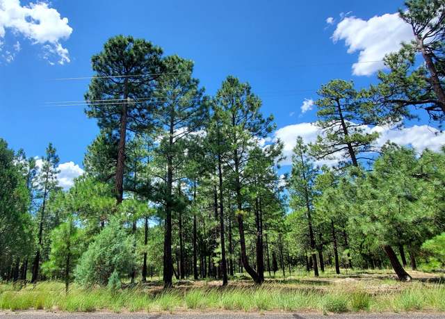 Property at 2526 Well Water Rd #322, Happy Jack, AZ 86024
