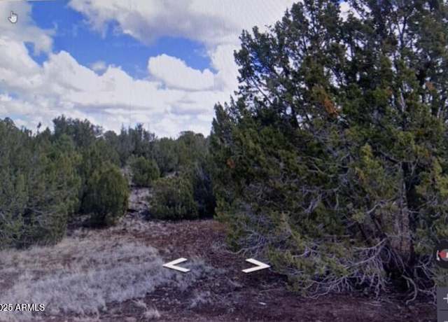 Property at 8426 Silver Creek Dr #1, Show Low, AZ 85901