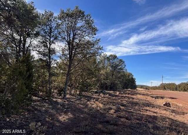 Property at 138 Acr 3158 -- #135, Vernon, AZ 85940