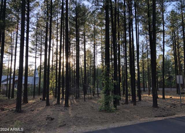 Property at 2504 Timber Ridge Ln #1, Pinetop, AZ 85935