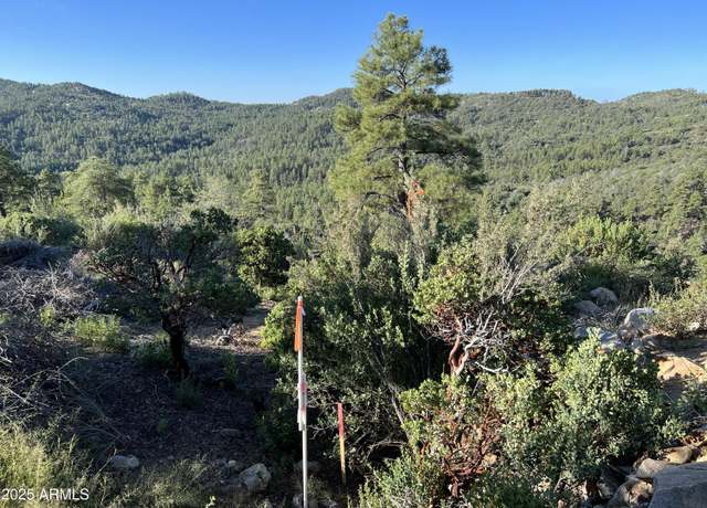 Property at XX E Privateer Rd Unit -, Crown King, AZ 86343