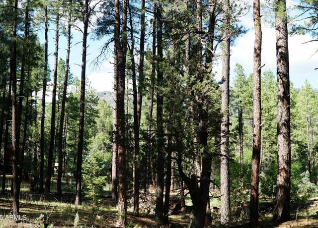 Property at 196 W Mockingbird Ln Unit Parcel 2, Payson, AZ 85541