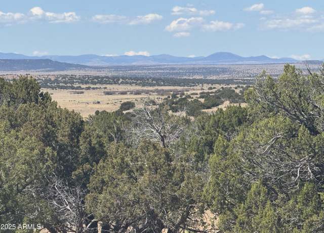Property at Lot 753 Woodland Valley Ranch -- #753, St Johns, AZ 85936