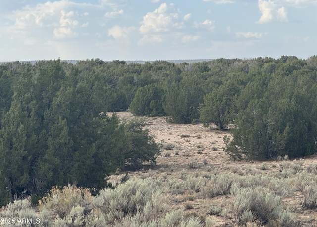 Property at Lot 16 Apn 205-33-016 -- #016, St Johns, AZ 85936