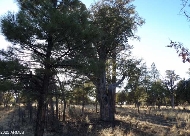 Property at 2570 Kettle Way #20, Happy Jack, AZ 86024