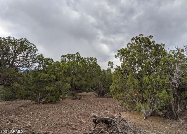 Property at lot 79 Ranch Rd #79, Vernon, AZ 85940