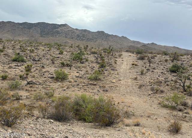 Property at 000 N Mohave Dr #48, Dolan Springs, AZ 86441