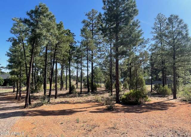 Property at 101 W Pine Haven Cir #8, Show Low, AZ 85901