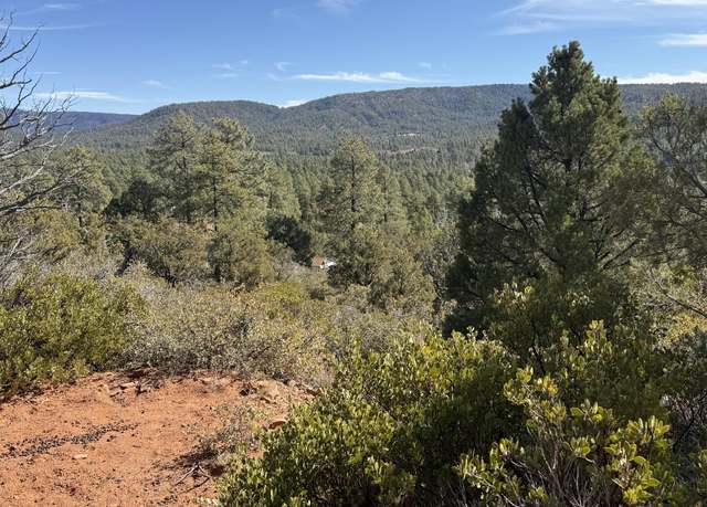 Property at Lot 73 W Tomahawk Trl #73, Strawberry, AZ 85544