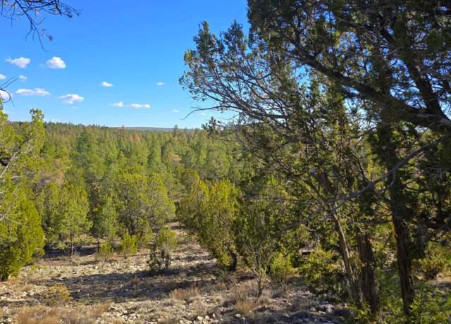 Property at 2947 E Lookout Ln #339, Overgaard, AZ 85933
