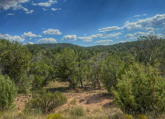Property at 1453 E Elkhorn -- #1453, Seligman, AZ 86337