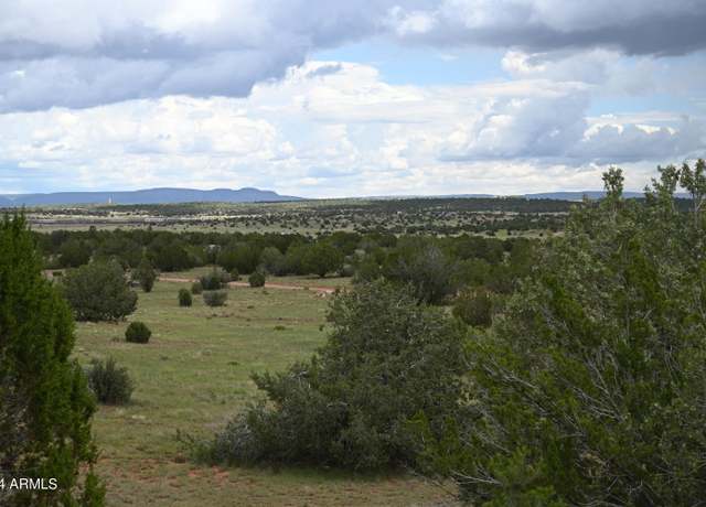 Property at 64550 N Flaming Star Dr #385, Seligman, AZ 86337