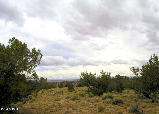 Property at 22 CR N7101 -- #109, St Johns, AZ 85936