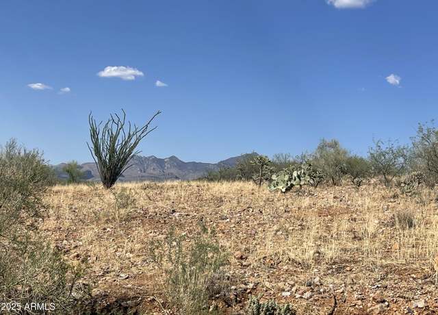 Property at 52 Calle Dinamarca -- #21, Rio Rico, AZ 85648
